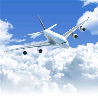 สินค้าขนส่งทางอากาศ
