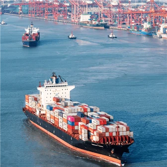 จัดส่งไปยังลิทัวเนีย